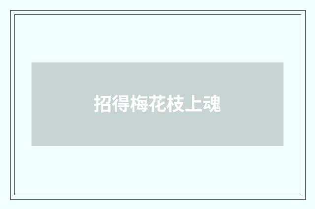 招得梅花枝上魂