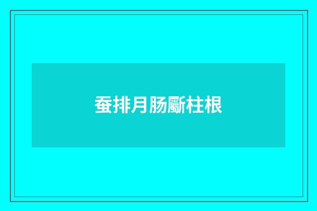 蚕排月肠斸柱根