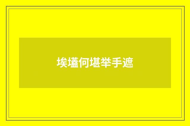 埃壒何堪举手遮