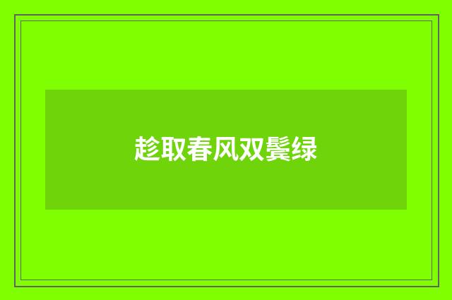 趁取春风双鬓绿