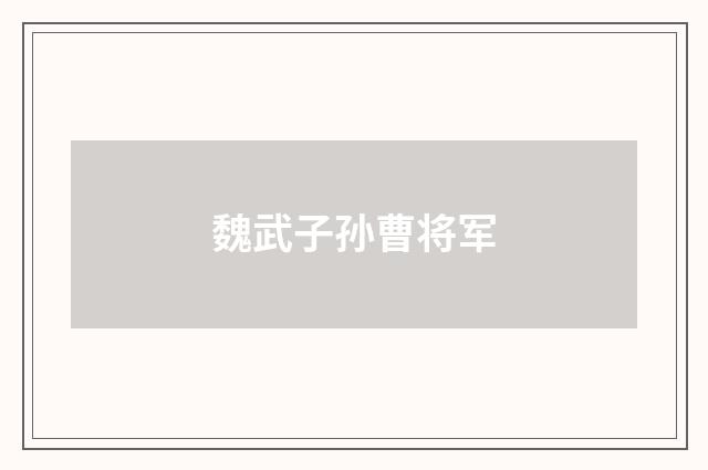 魏武子孙曹将军