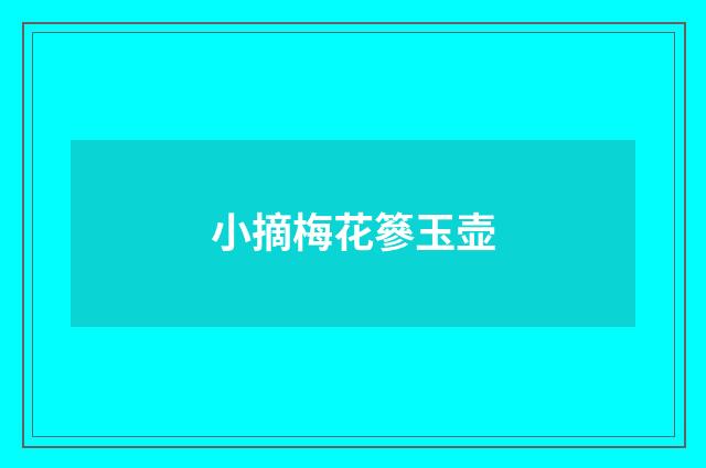 小摘梅花篸玉壶