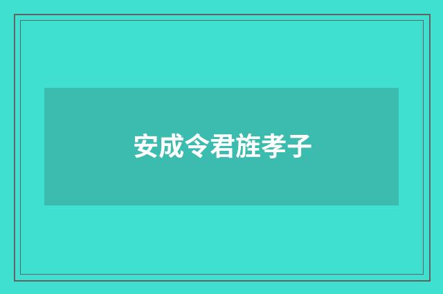 安成令君旌孝子