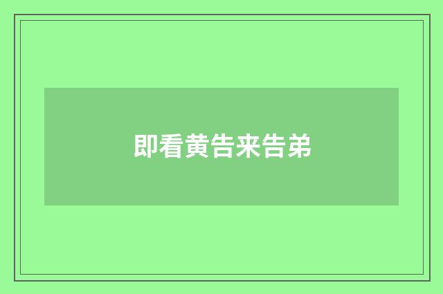 即看黄告来告弟