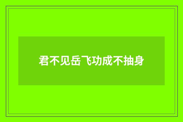 君不见岳飞功成不抽身