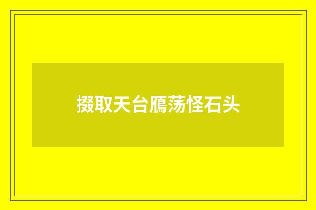 掇取天台鴈荡怪石头
