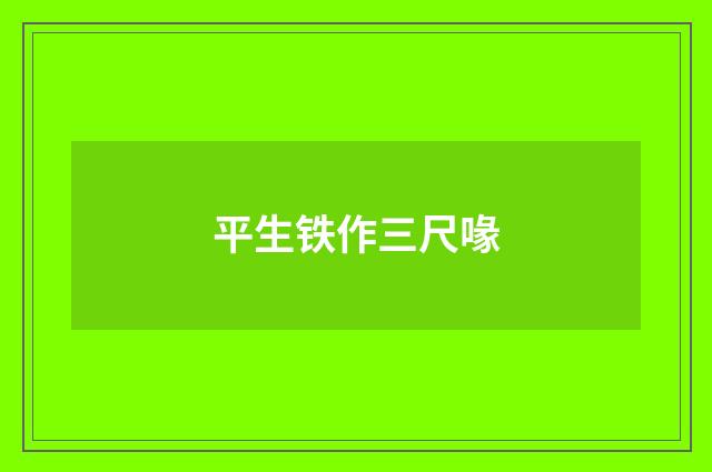 平生铁作三尺喙
