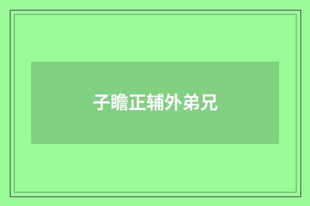 子瞻正辅外弟兄