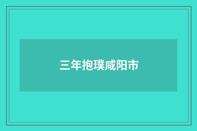 三年抱璞咸阳市
