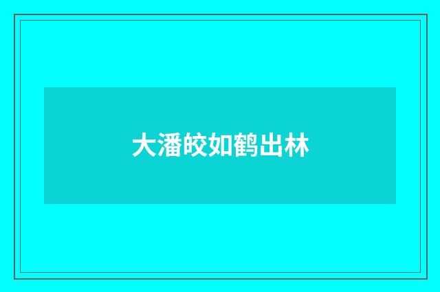大潘皎如鹤出林