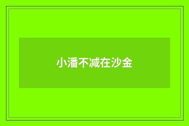 小潘不减在沙金