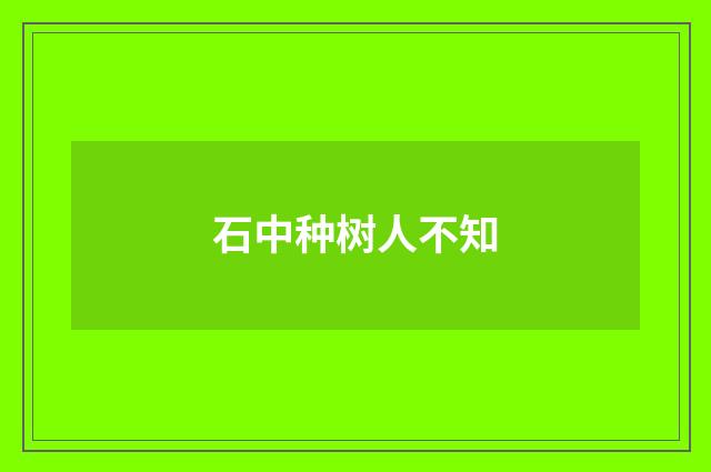石中种树人不知