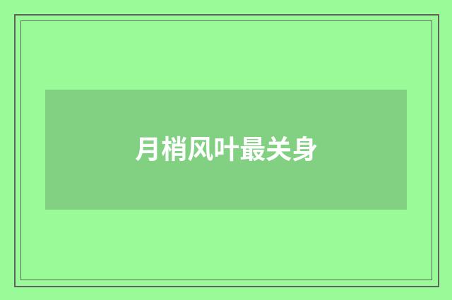 月梢风叶最关身