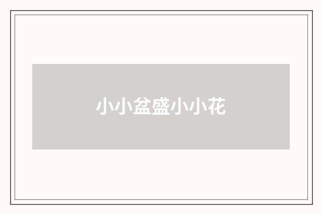 小小盆盛小小花