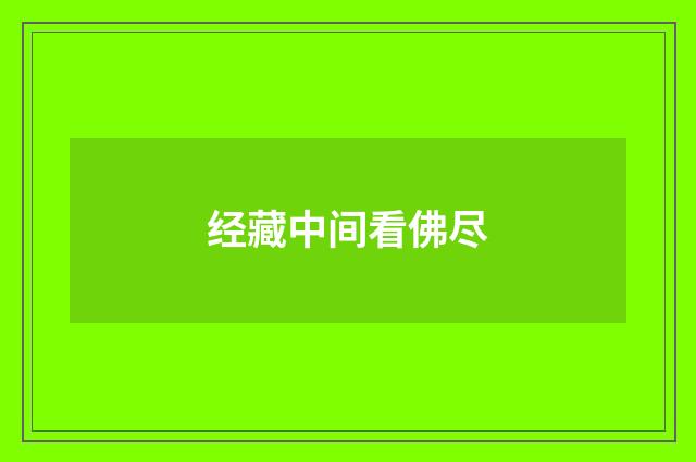 经藏中间看佛尽