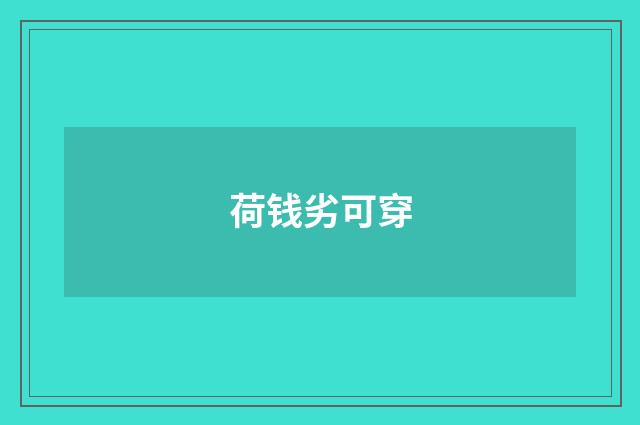 荷钱劣可穿
