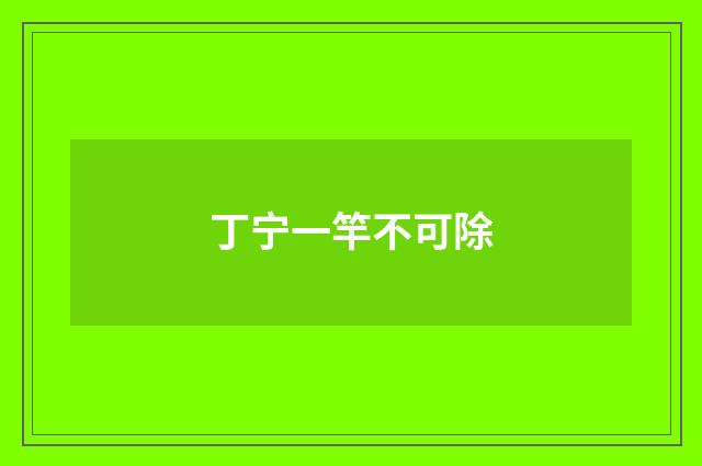 丁宁一竿不可除