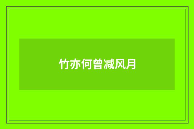 竹亦何曾减风月