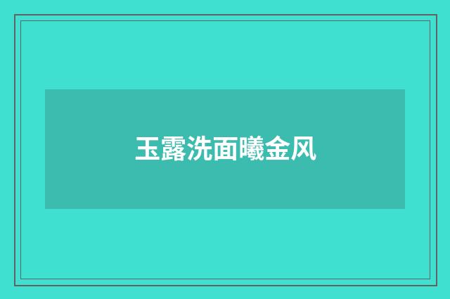 玉露洗面曦金风