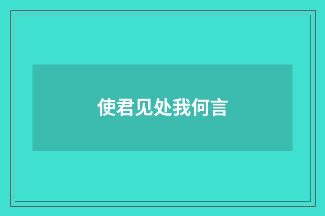 使君见处我何言