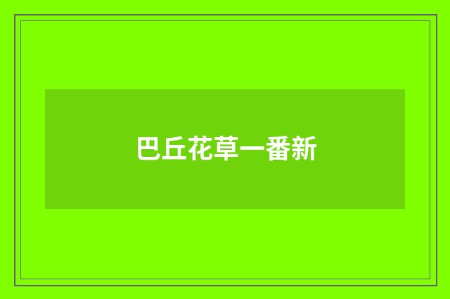 巴丘花草一番新