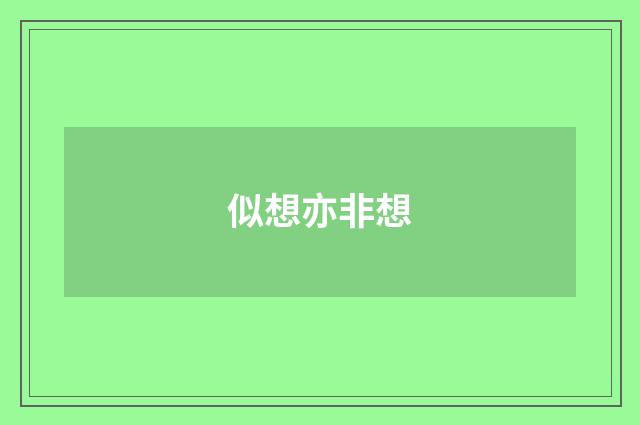 似想亦非想