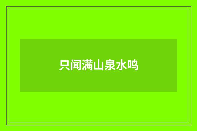 只闻满山泉水鸣