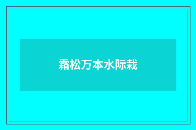 霜松万本水际栽