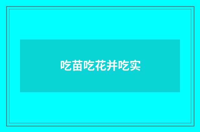 吃苗吃花并吃实