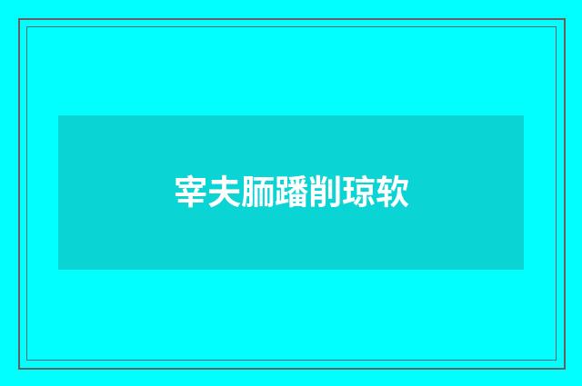 宰夫胹蹯削琼软