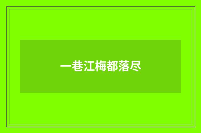 一巷江梅都落尽