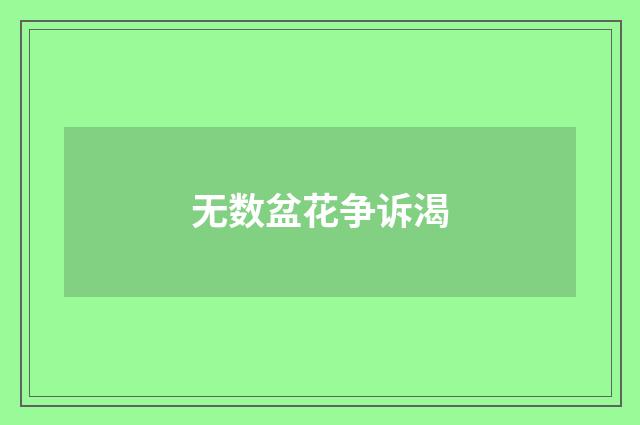 无数盆花争诉渴