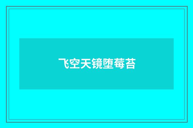 飞空天镜堕莓苔