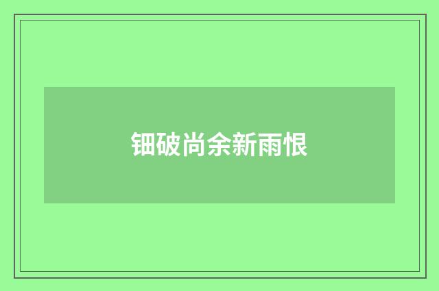 钿破尚余新雨恨