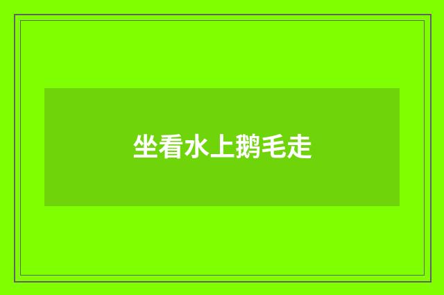 坐看水上鹅毛走
