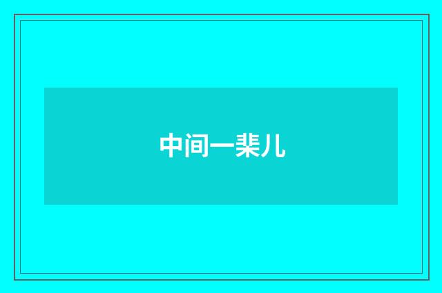 中间一棐儿