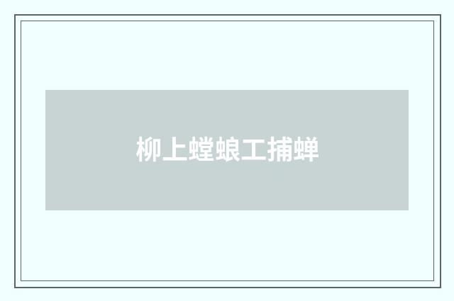 柳上螳蜋工捕蝉