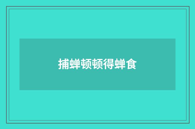 捕蝉顿顿得蝉食