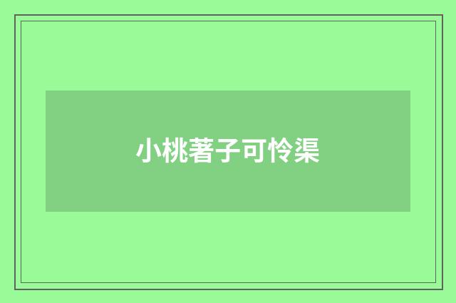 小桃著子可怜渠