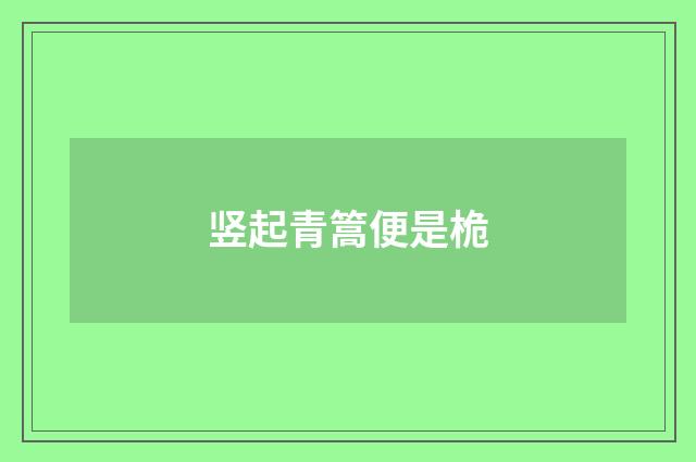 竖起青篙便是桅