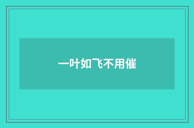 一叶如飞不用催