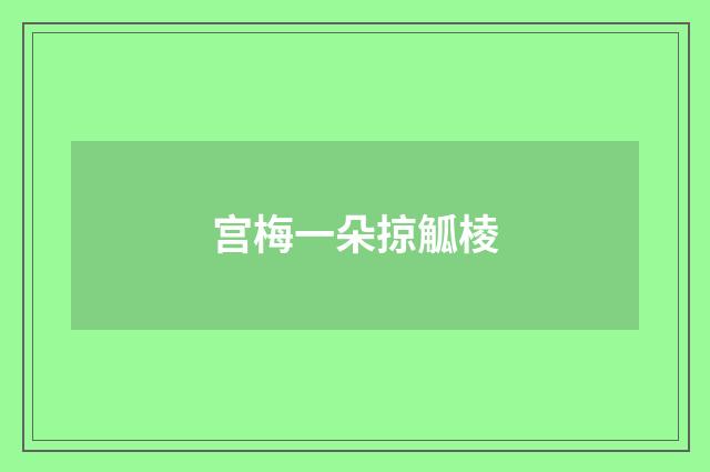 宫梅一朵掠觚棱