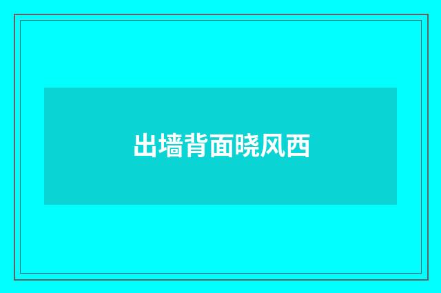 出墙背面晓风西