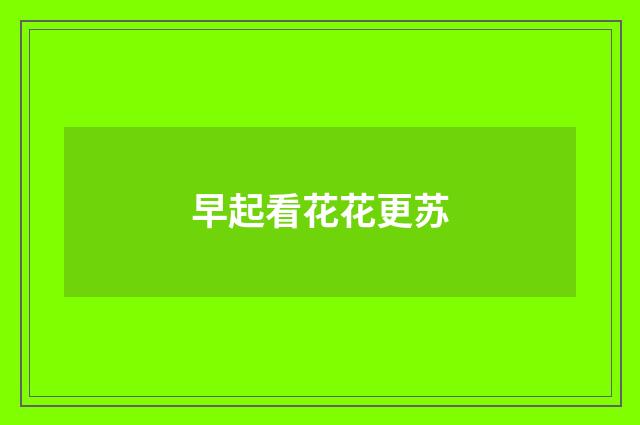 早起看花花更苏
