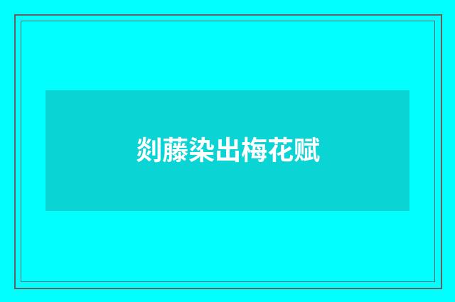 剡藤染出梅花赋