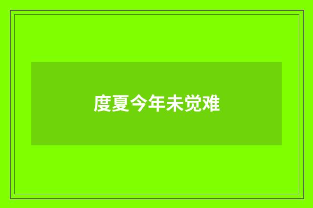 度夏今年未觉难