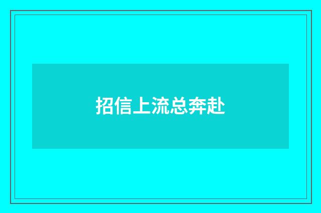 招信上流总奔赴