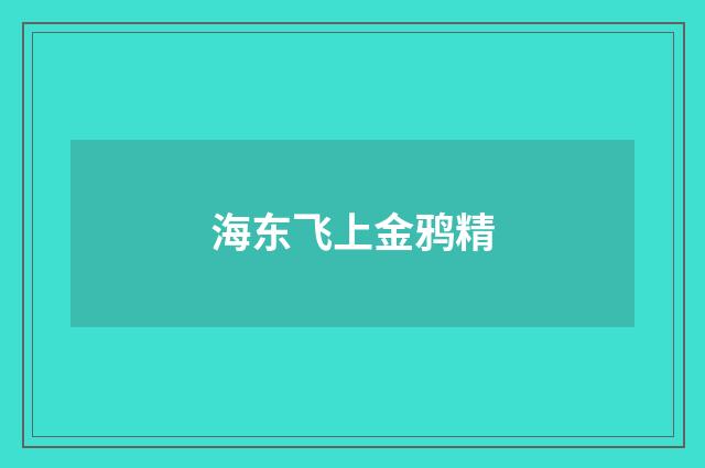 海东飞上金鸦精