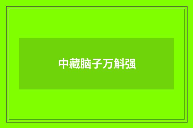 中藏脑子万斛强