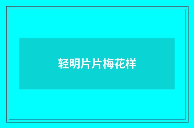 轻明片片梅花样